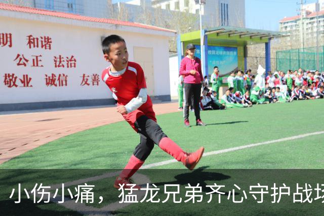 小伤小痛，猛龙兄弟齐心守护战场